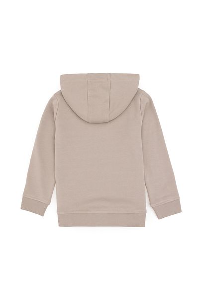 U.S. Polo Assn. Hanorac cu glugă de bază Stone Boy's 50289134 -vr049