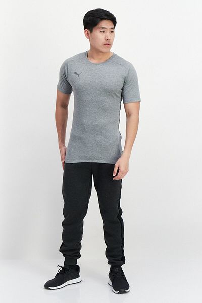 Puma Men Sportswear Fit Short Sleeve Training T Shirt, Grey