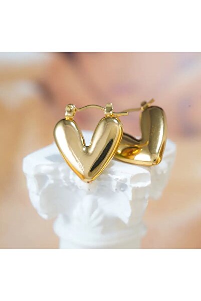 Store Stainless Steel Steel Gold Women's Earrings