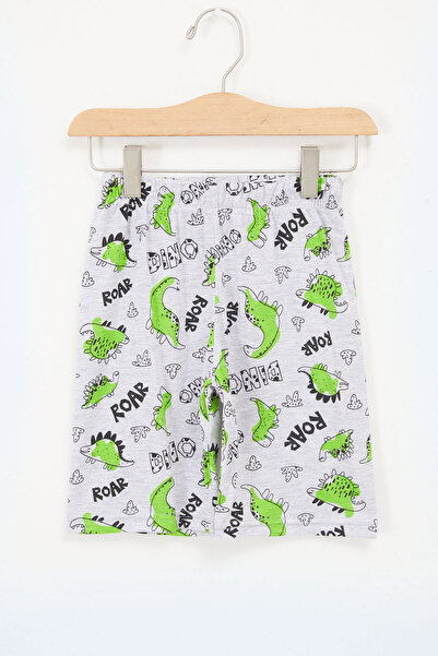 Cansın Mini Boy's Gray Dinosaur Printed Capri 17668 - 5022