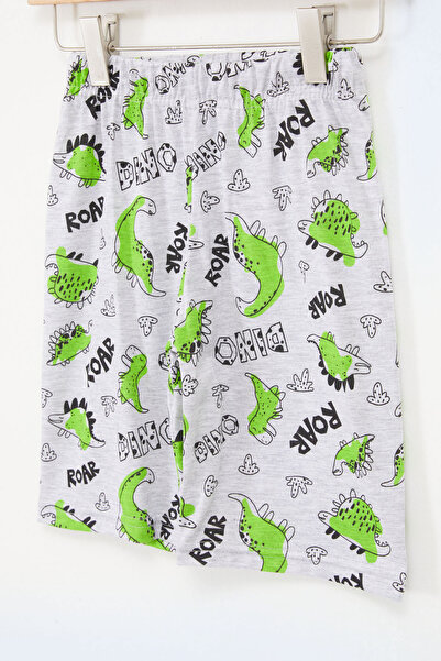 Cansın Mini Boy's Gray Dinosaur Printed Capri 17668 - 5022
