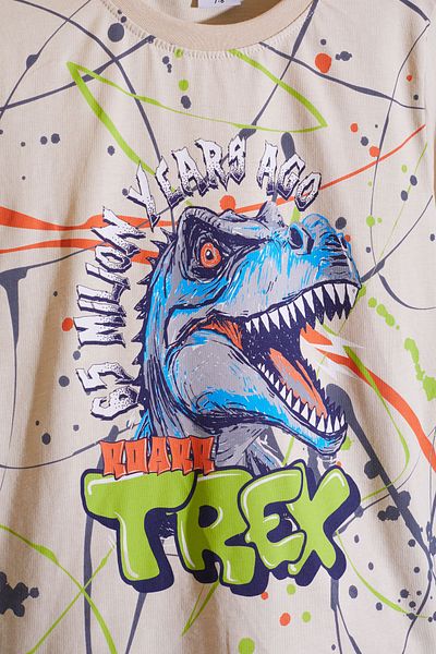 Cansın Mini Boy's Smoked T-rex Printed Shorts Set - Text 18710