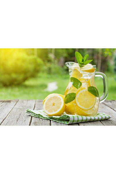 prafendy EV YAPIMI TADINDA GERÇEK MEYVE TANELİ TOZ LİMONATA 1 Kg