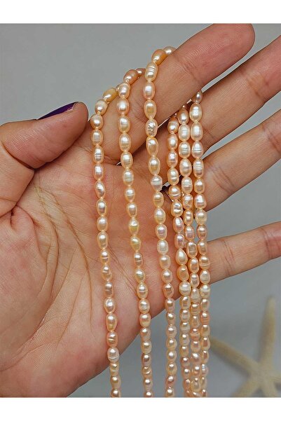 Yasamtohumu Σειρά Ροζ Μαργαρίτα - Royal Quality 4*5mm (53330)