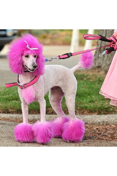 Mac Allister Kedi Köpek Tüy Boyası Pembe Renkli 125 mL