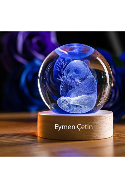 hediyesahibi İsme Özel Büyük Boy Renkli Işıklı Ahşap Kaideli Panda Temalı Cam...