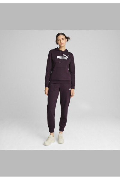 Puma Essentials Logo FL Kapşonlu