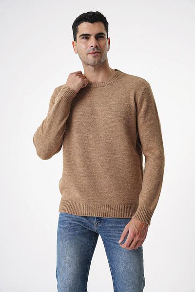 CHUBA Ανδρικό πουλόβερ Soft Touch Regular Fit Casual Crew-Neck Καμηλό 25W2008