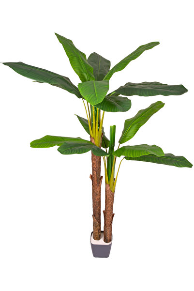 Herdekora Yapay Muz Ağacı Gerçek Dokulu 19 Yaprak Yeşil 190 Cm.