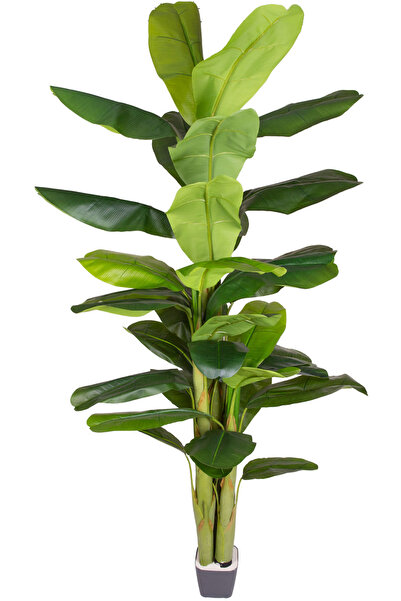 Herdekora Yapay Muz Ağacı Gerçek Dokulu 38 Yaprak Yeşil 230 Cm.