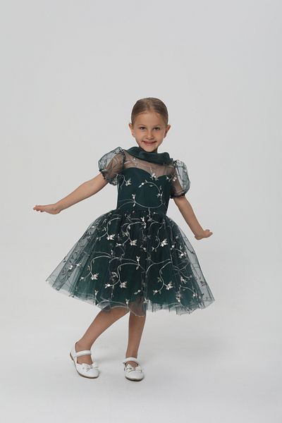 miço kids Girls Floral Embroidered Princess Ball Gowns Dress
