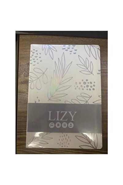 Lizy Caiet LIZY AMERICAN BRISTOL flexibil, cu copertă cartonată, 17-24, 120 p...