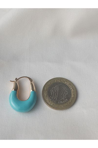 Siya Silver Gold Colored Blue Enameled U Model Steel Earrings