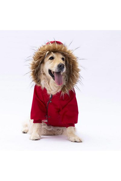 Pawstar Red Charles Big Breed Dog Coat Dog Raincoat Dog Outfit Dog Dress