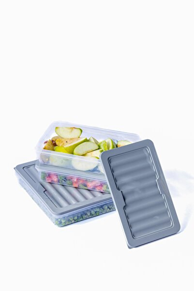 NY HOME Set of 4-3 Freshbox Gray Storage Container Suitable for Microwave and Diffraction