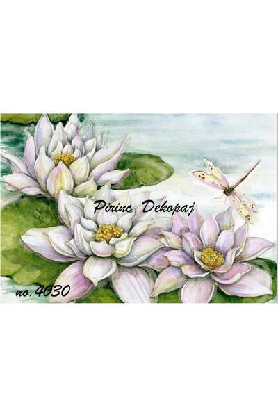 LİNEART Lineart Pirinç Dekopaj Kağıdı 29X42 No:L4030