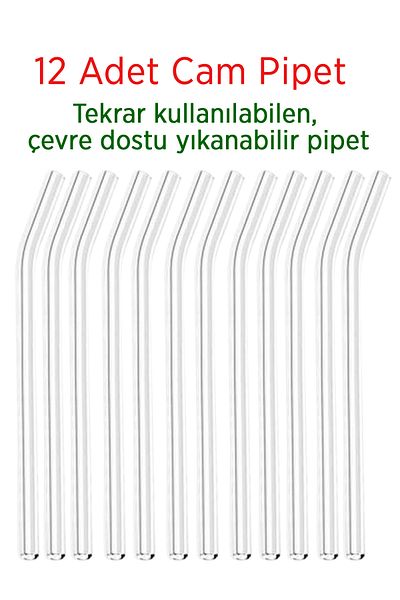 KCA HOME Transparent Glass Straw 12 Pieces Glass Inclined Straw (Heat Resistant)