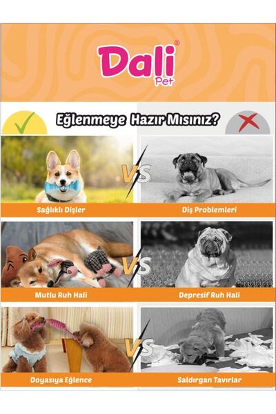 Dalipet Köpek oyuncakları Kumaş,Peluş,Dış Sağlığında Etkili, İçi Dolgun 3 Farklı Desen ve Renk Oyuncaklar