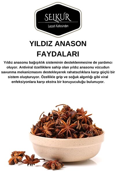 SELKUR Yıldız Anason 200gr Star Anise Whole