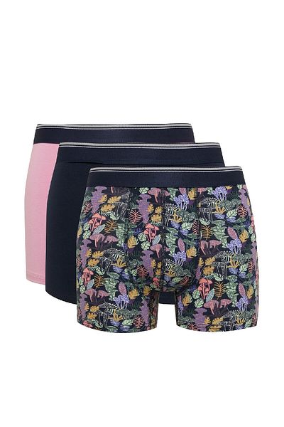 DeFacto Regular Fit Printed Boxer 3 τεμαχίων D2324ax24au