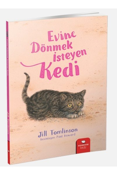 Destek Yayınları Animal Stories Series - Evine Dönmek İsteyen Kedi