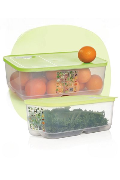 Tupperware Lime Greenhouse Series - 9.9L and 6.1L Set