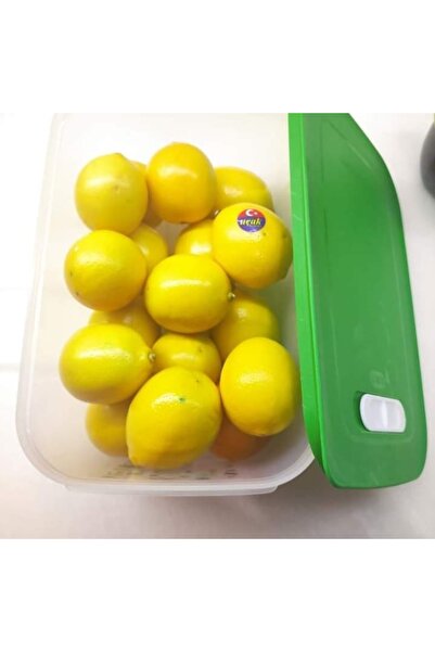 Tupperware 4.4 LT Sera.