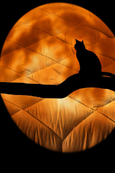 Else Dekor Двоспальна ковдра з капітоне з візерунком чорної кішки в повний місяць