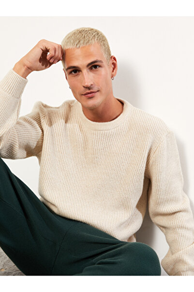 LC Waikiki Bisiklet Yaka Uzun Kollu Erkek Triko Kazak