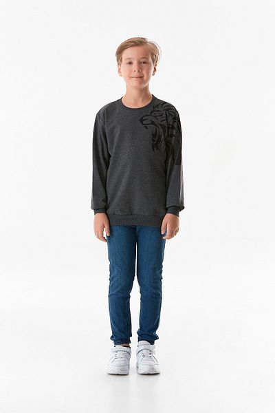 Fulla Moda Hanorac cu imprimeu Leu pentru băiat