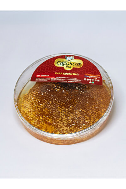 BİNGÖL ÇAPAKÇUR BAL Karakovan Petek Balı (1500 Gr)