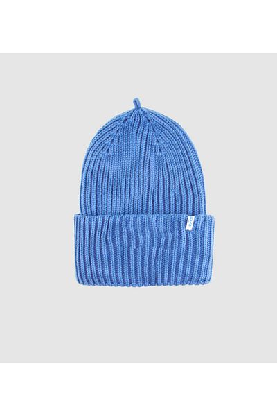 Levi's Male Blue Caps