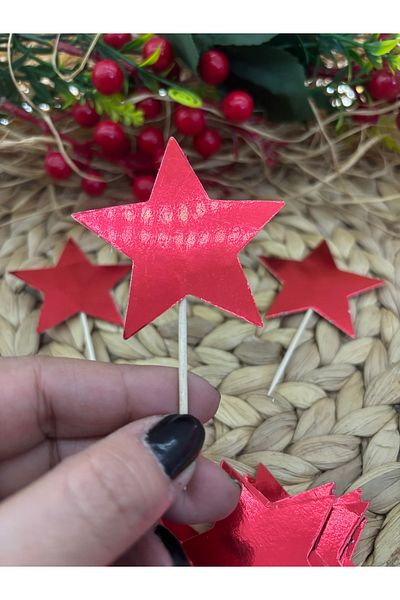 Deniz Party Store Metallic Red Star Toothpicks 10 Pack