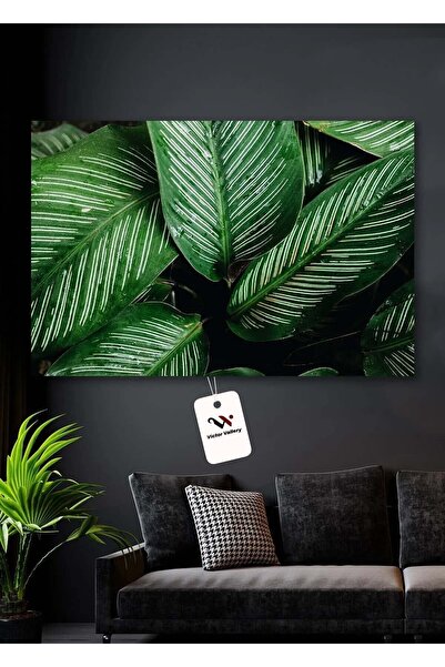 Limitless Design Efficient Soils Hd Print Canvas Painting