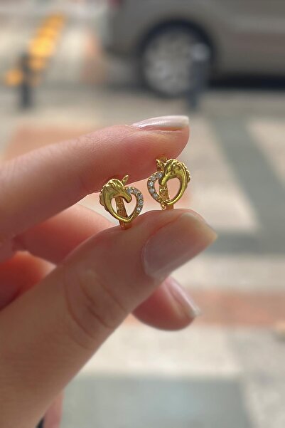 Erer Gümüş Gümüş kalpli unicorn çocuk küpesi dye2421d2