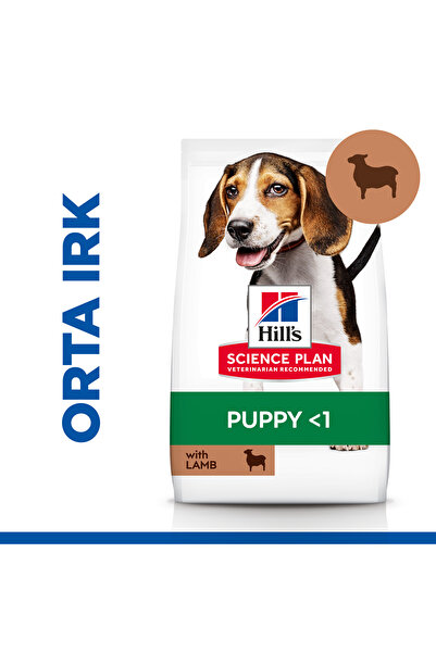 Hill's SCIENCE PLAN Kuzulu ve Pirinçli Orta Irk Yavru Köpek Maması 2,5kg