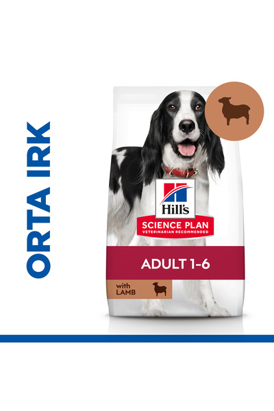 Hill's SCIENCE PLAN Kuzulu ve Pirinçli Orta Irk Yetişkin Köpek Maması  2,5kg
