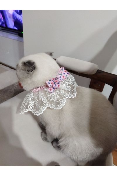 Canbutik Handmade Cat And Small Dog Collar Leash White