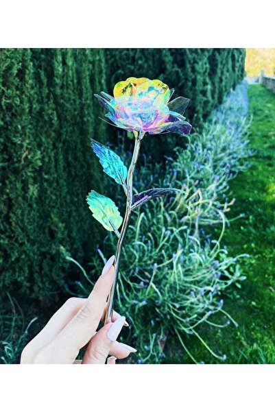 Lapidaria Sonsuzluk Gülü Hediyelik Gül -Ev Dekor - Sevgiliye Hediye-anneler Günü Hediyesi Öğretmenler Günü