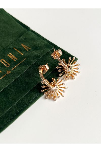 Miltonia Zircon Stone Stylish Earrings