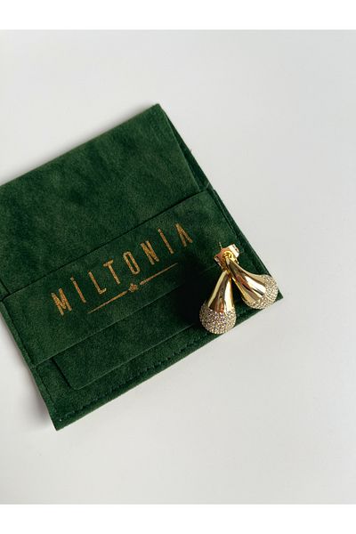 Miltonia Zircon Stone Drop Steel Earrings