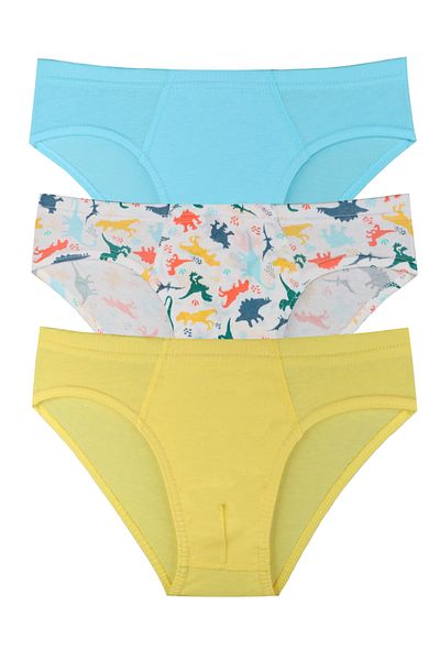 Sensu Boy's Cotton 3-Piece Panties Set - Kids1000