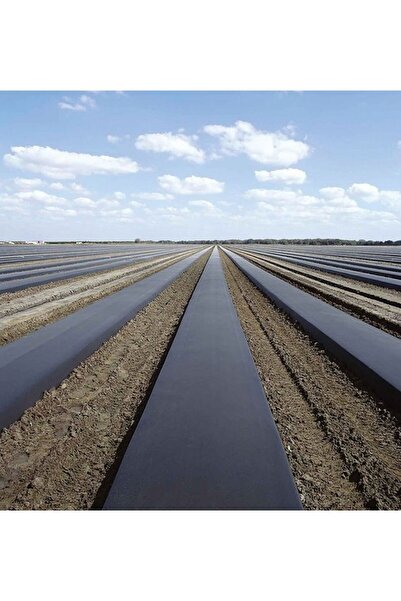 SERAMALZEMEM MALÇ NAYLONU SİYAH DELİKSİZ 120 CM EN X 100 METRE BOY