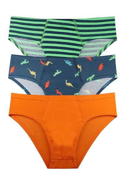 Sensu Boy's Cotton 3-Piece Panties Set - Kids1000