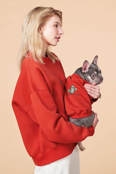 salya store Dog Outfit for Owner Single Item - Loose Fit, Pou Series Cacti Sweatshirt
