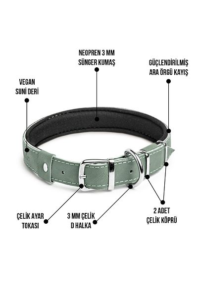 pasiole Dog Collar, Dog Collar, Large and Medium Breed Dog Collar - Steff