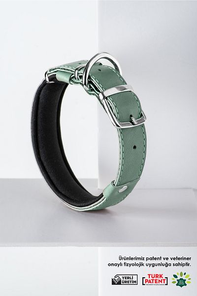 pasiole Dog Collar, Dog Collar, Large and Medium Breed Dog Collar - Steff