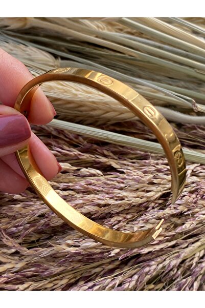 Lucios 316L Stainless Steel Brand Clamp Inner Diameter 6 cm (Small Size)