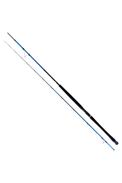 RYUJI Shore Game Fuji 295 cm 30-100 gr Shore Jig Kamış RYJSGF295