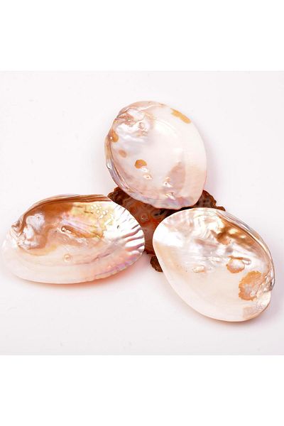 Taş Sandığı Pearl Stone Plate - Sea Shell with Pearls